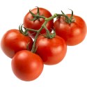 cherry_tomato